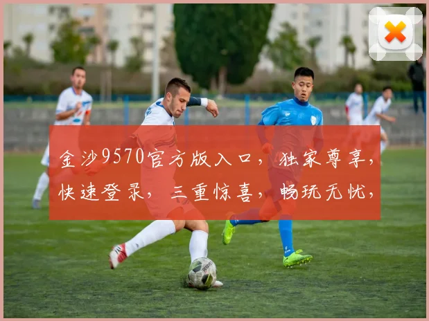 金沙9570官方版入口，独家尊享，快速登录，三重惊喜，畅玩无忧，一触即达，必看攻略，轻松解锁