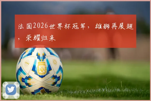 法国2026世界杯冠军，雄狮再展翅，荣耀归来