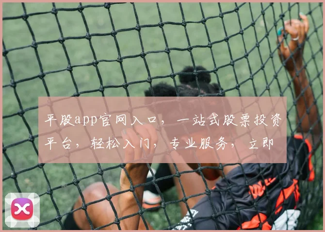 平股app官网入口，一站式股票投资平台，轻松入门，专业服务，立即体验