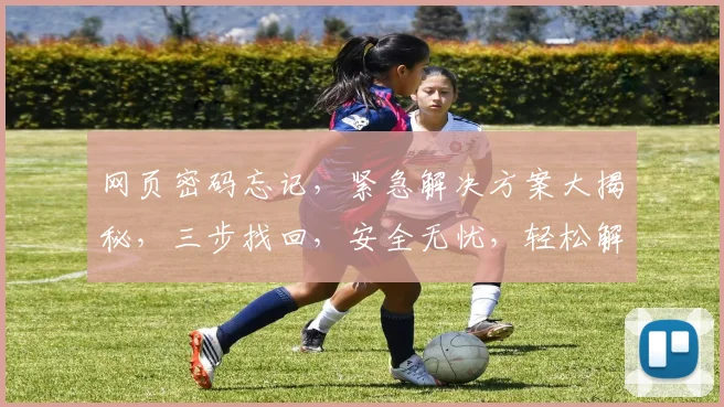 网页密码忘记，紧急解决方案大揭秘，三步找回，安全无忧，轻松解决